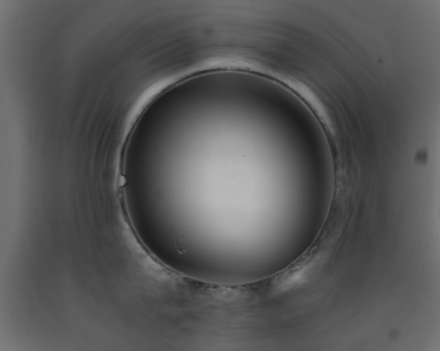 X0000093570815200710151126