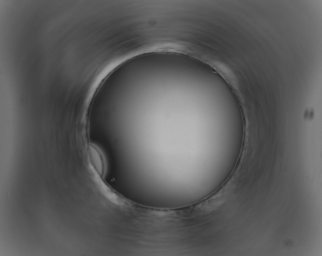 X0000093570816200710151126