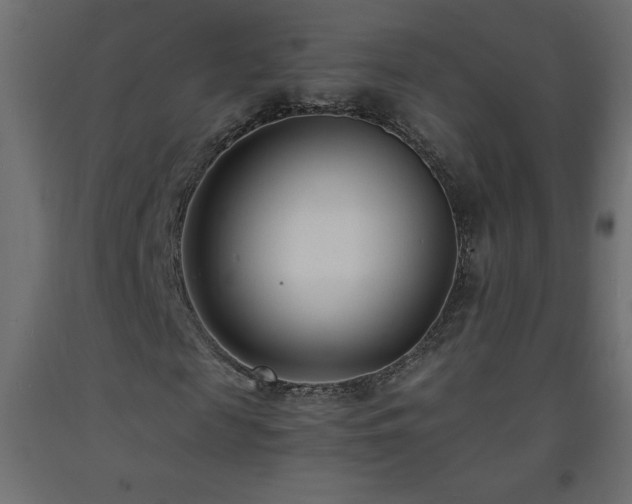 X0000093570817200710151125