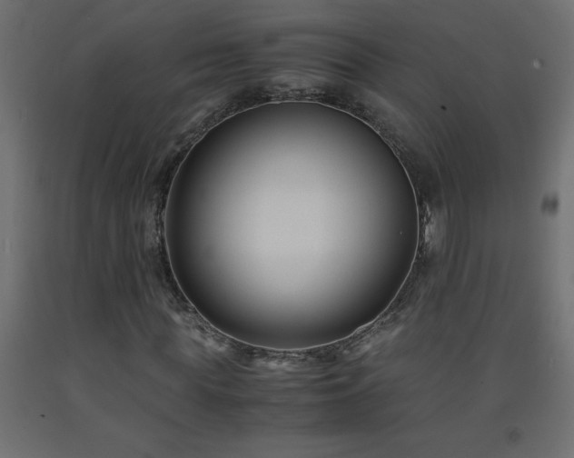 X0000093570819200710151125