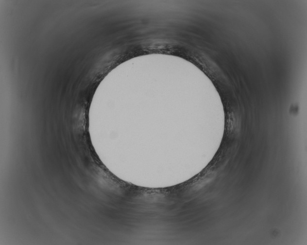 X0000093570820200710151125