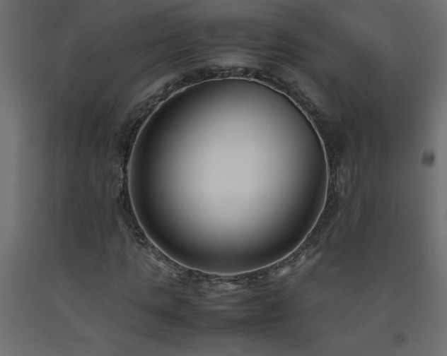 X0000093570821200710151126