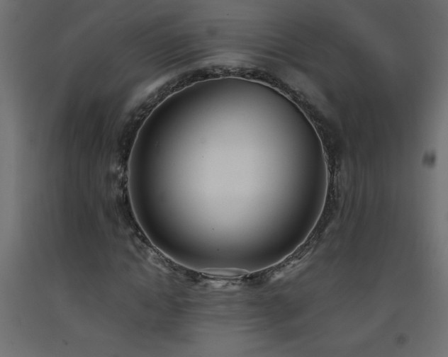 X0000093570822200710151126