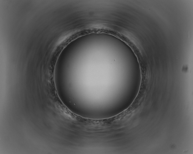 X0000093570823200710151126