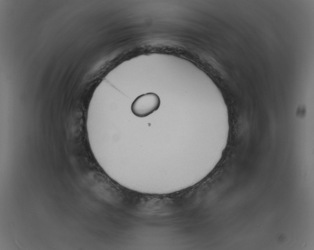 X0000093570824200710151126