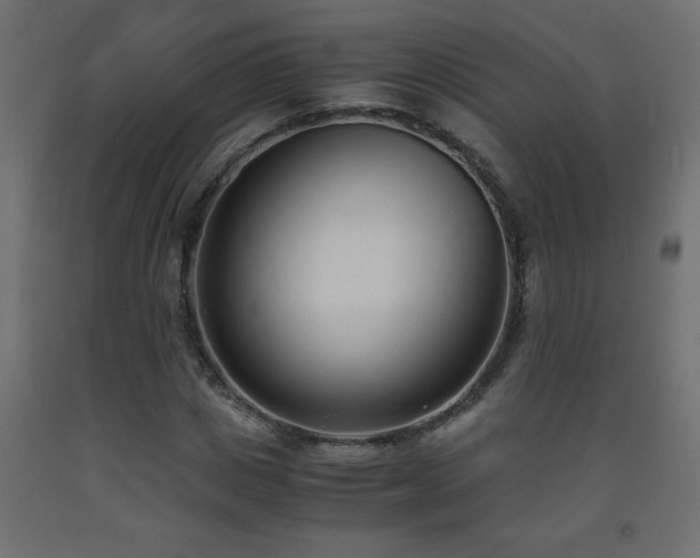 X0000093570825200710151126