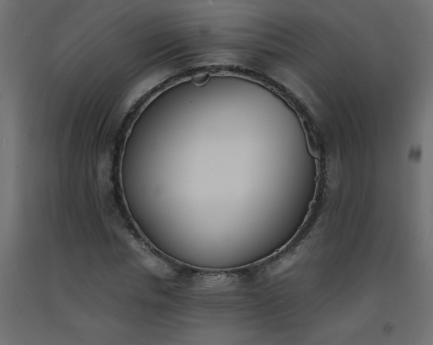 X0000093570826200710151126