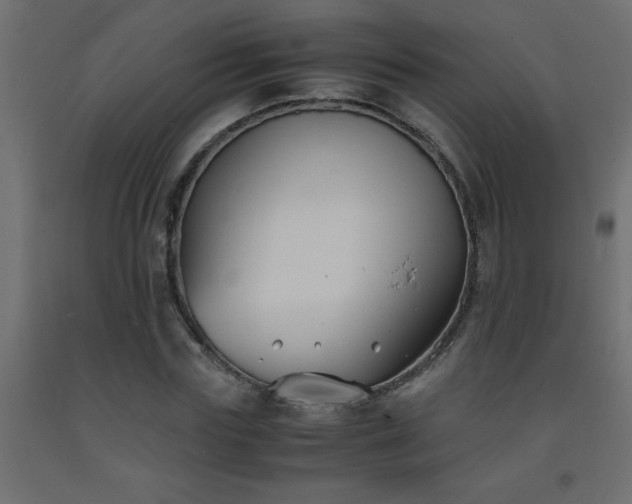 X0000093570827200710151126