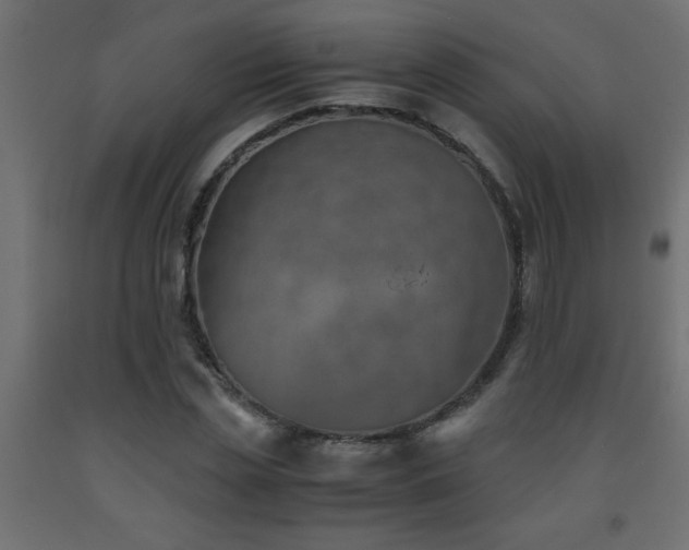 X0000093570829200710151126