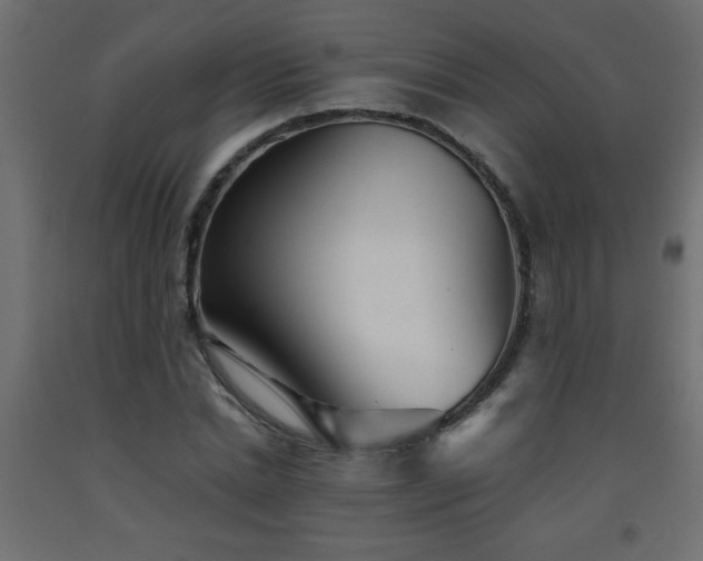 X0000093570830200710151126