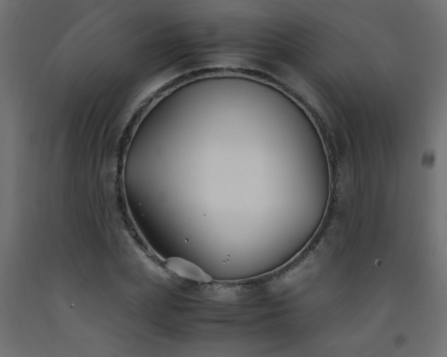 X0000093570831200710151126