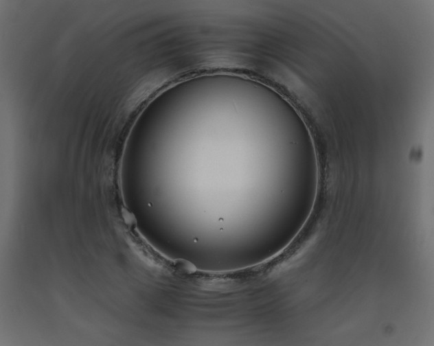 X0000093570833200710151126