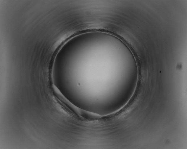 X0000093570834200710151126