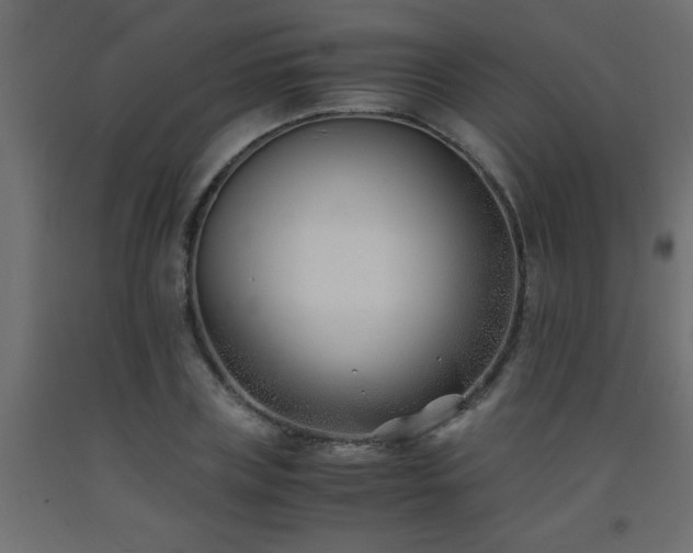 X0000093570835200710151126