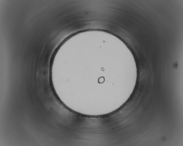 X0000093570836200710151126