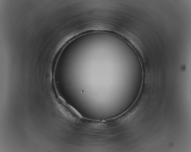 X0000093570837200710151126