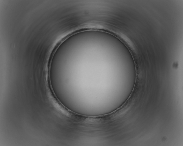 X0000093570840200710151126