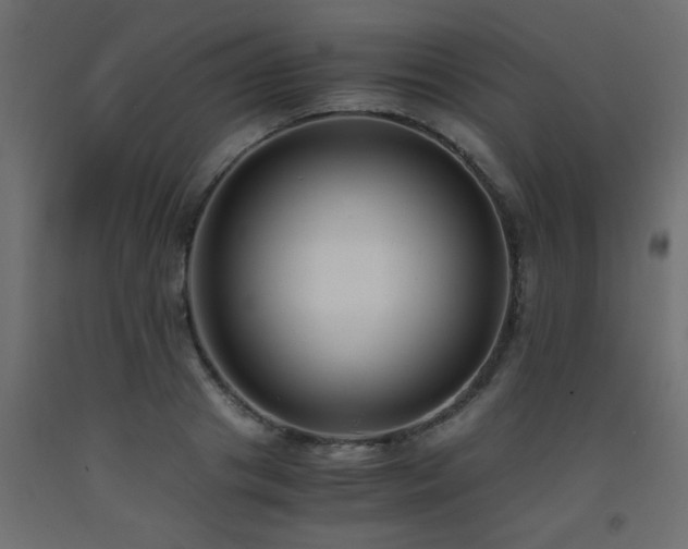 X0000093570841200710151126