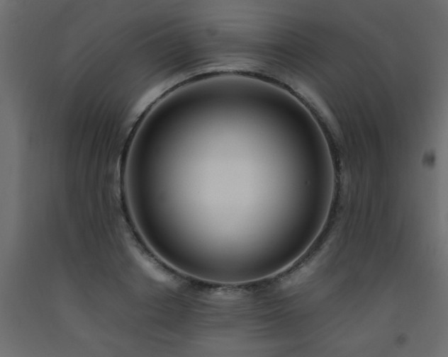 X0000093570842200710151126