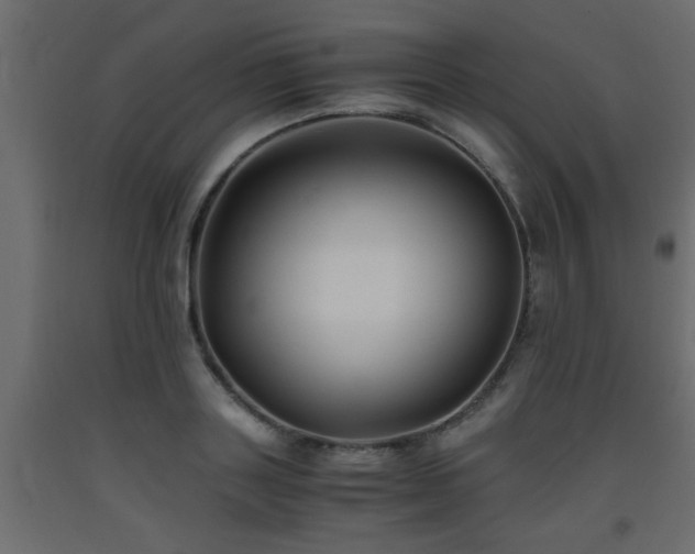 X0000093570843200710151126