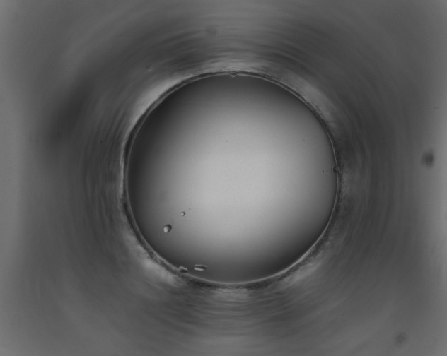 X0000093570844200710151126