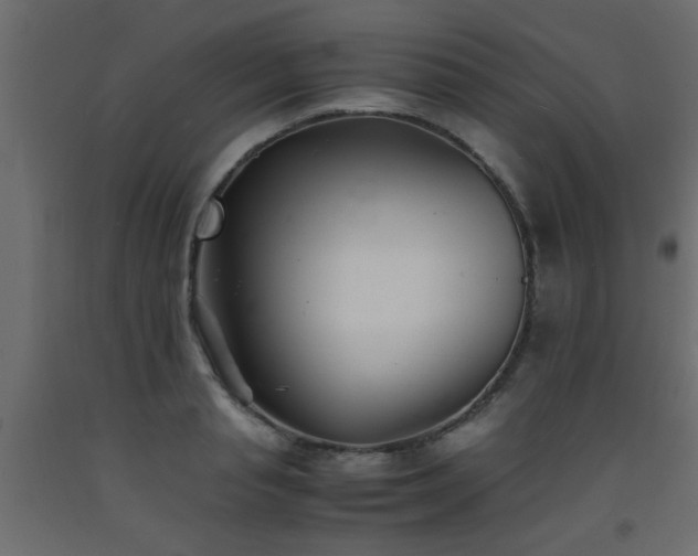 X0000093570845200710151126