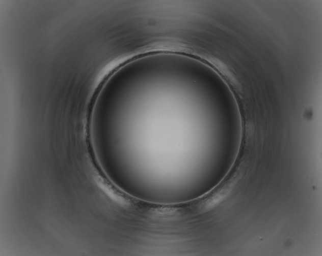 X0000093570846200710151126