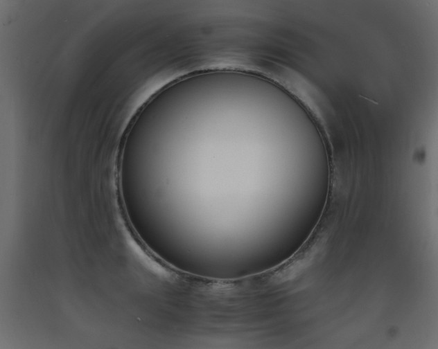 X0000093570847200710151126