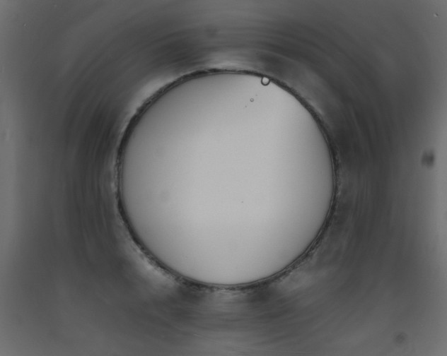 X0000093570848200710151126