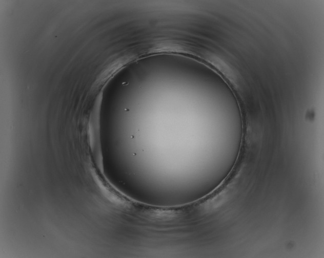 X0000093570849200710151126