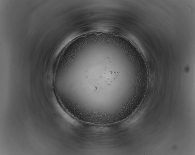 X0000093570851200710151126