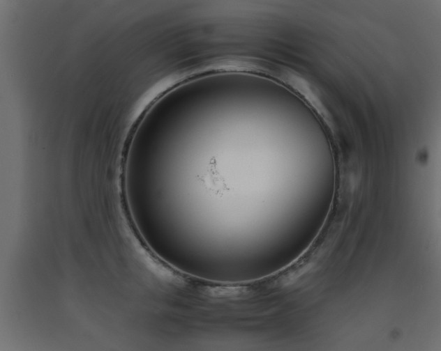 X0000093570853200710151126
