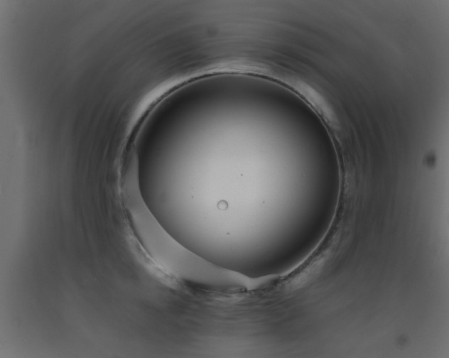 X0000093570854200710151126