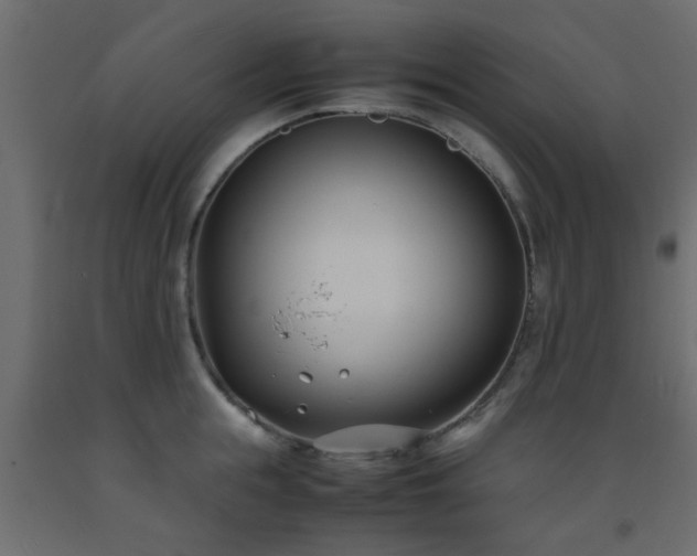 X0000093570855200710151126