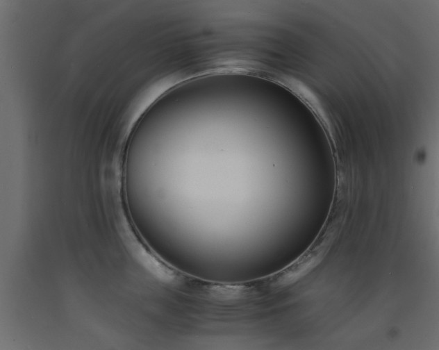 X0000093570859200710151126