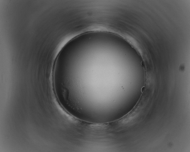 X0000093570863200710151126