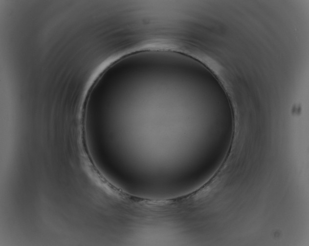 X0000093570864200710151126