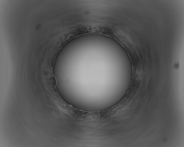 X0000093570865200710151125