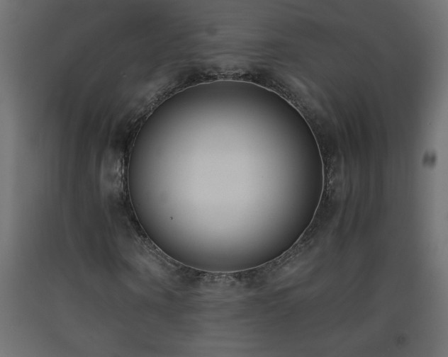 X0000093570866200710151125