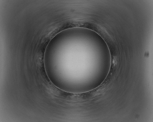 X0000093570867200710151125