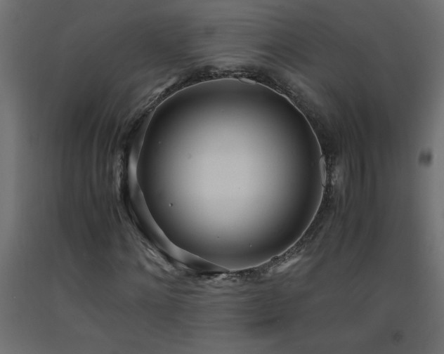X0000093570868200710151125