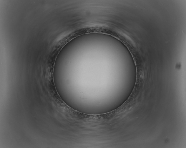 X0000093570869200710151125