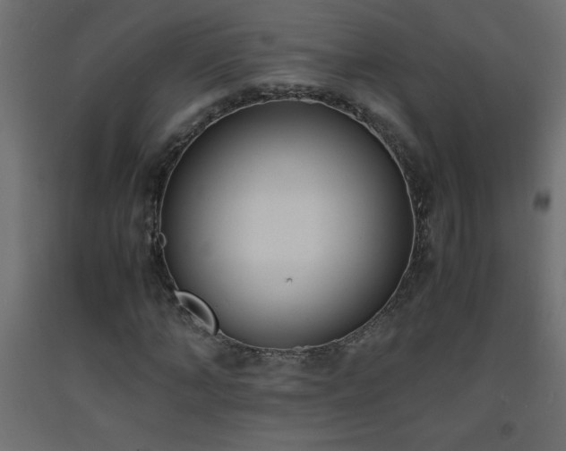 X0000093570870200710151125