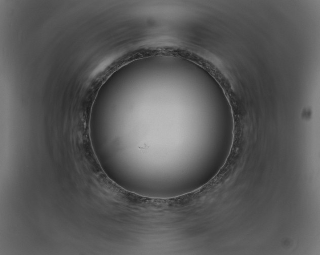 X0000093570871200710151125