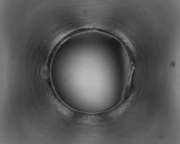X0000093570876200710151125