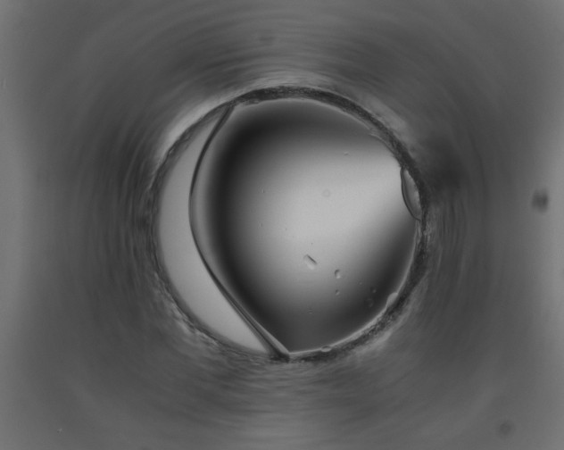 X0000093570877200710151125