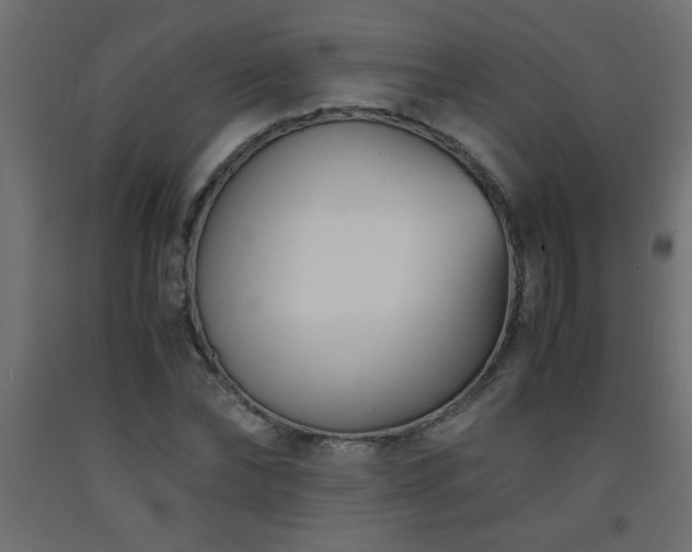 X0000093570878200710151125