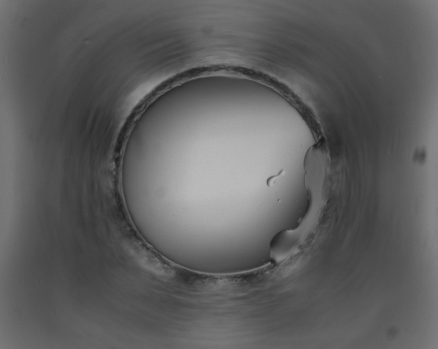 X0000093570879200710151125