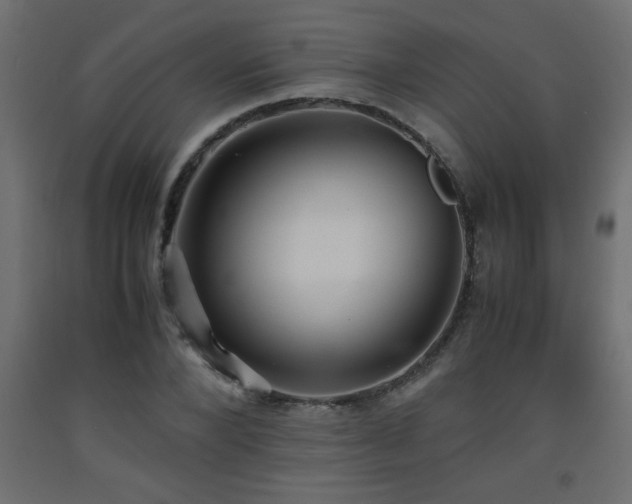 X0000093570880200710151125