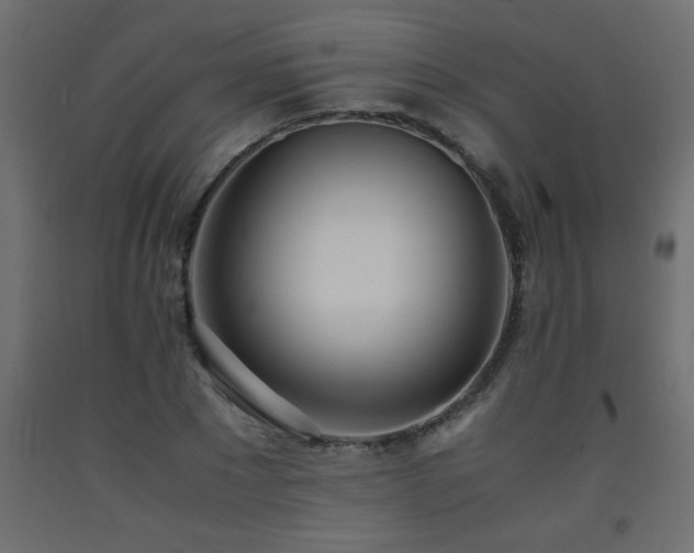 X0000093570881200710151125